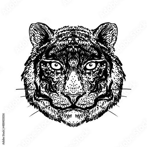 Patterned ornate tiger head. African, Indian, totem, tattoo, sticker design. Design of t-shirt, bag, postcard and posters. Vector isolated illustration in black and white. Coloring book.