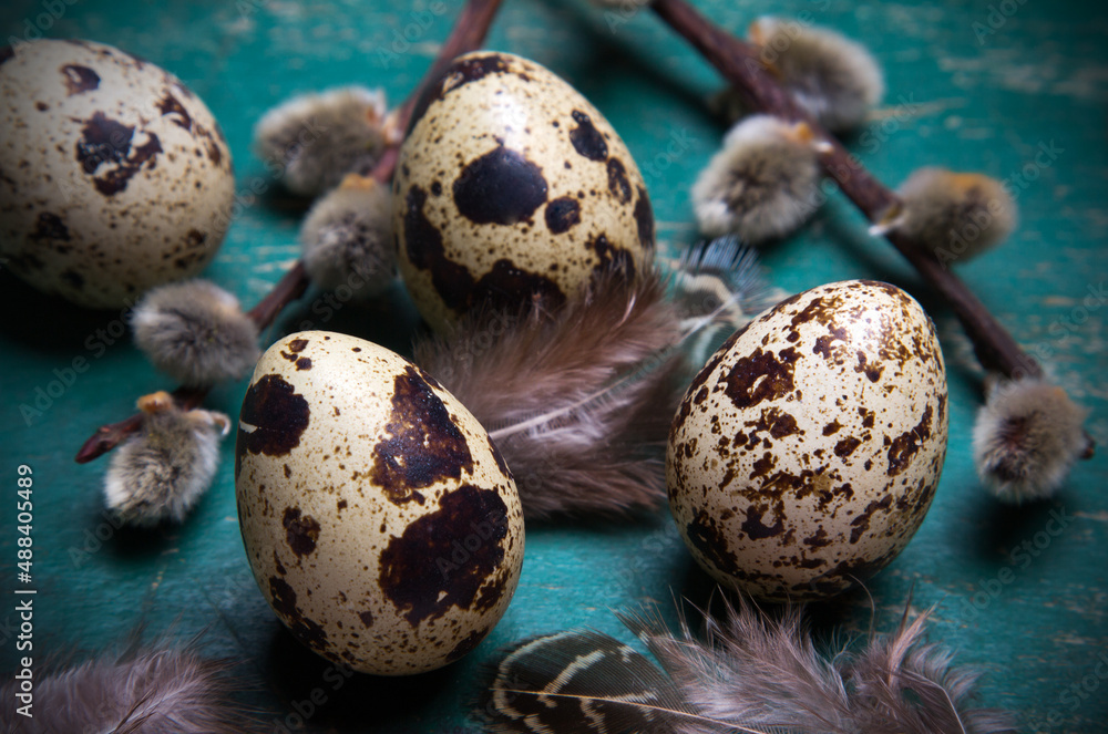 Obraz premium Easter background with quail eggs, feathers and catkins on green rustic wooden background. Easter card.