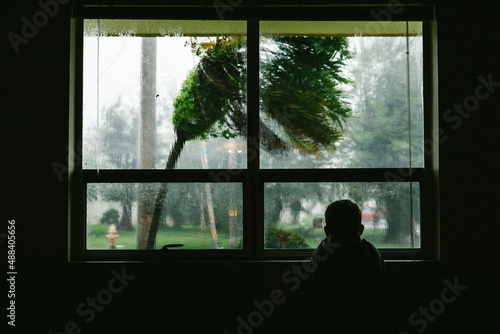 Silhouette of boy watching a tropical typhoon out the window photo