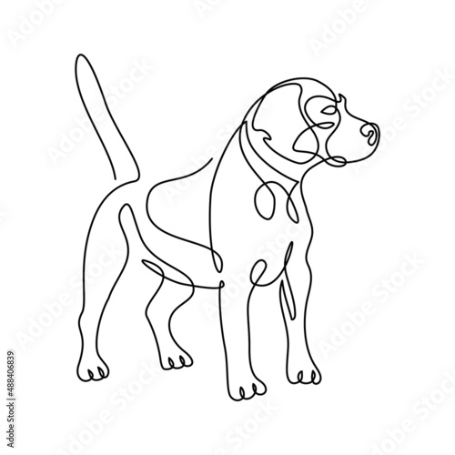 Dog in continuous line art drawing style. Cute beagle dog standing and watching black linear sketch isolated on white background. Vector illustration