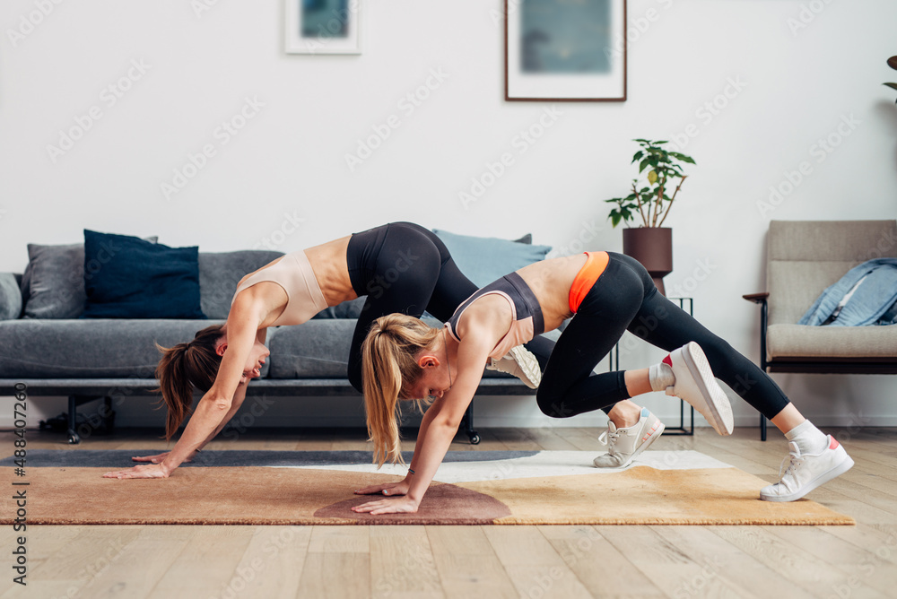 Mountain climbers exercise. Mother and daughter working out at home.