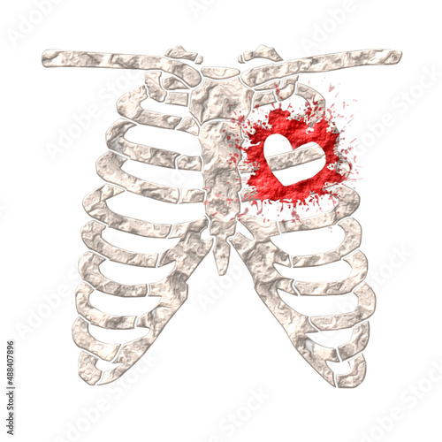 illustration of bones with heart symbol.