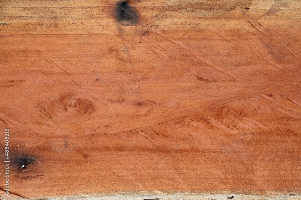 Wood texture of Samanea saman tree Stock Photo | Adobe Stock