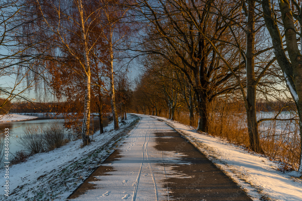 Asphalt path for bikes near Ceske Budejovice city in winter snowy morning Asphalt path for bikes near Ceske Budejovice city in winter snowy morning