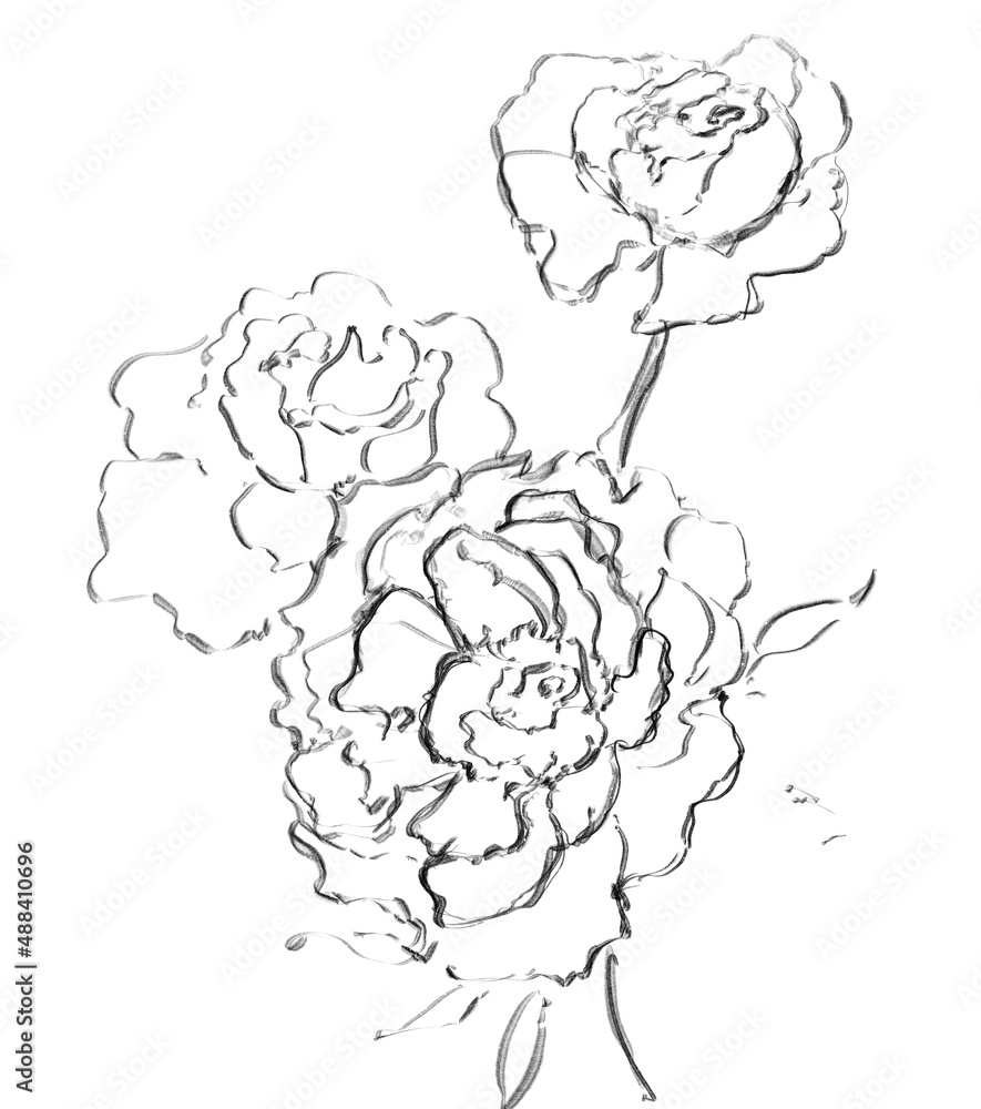 hand drawn flowers hand drawn flowers
