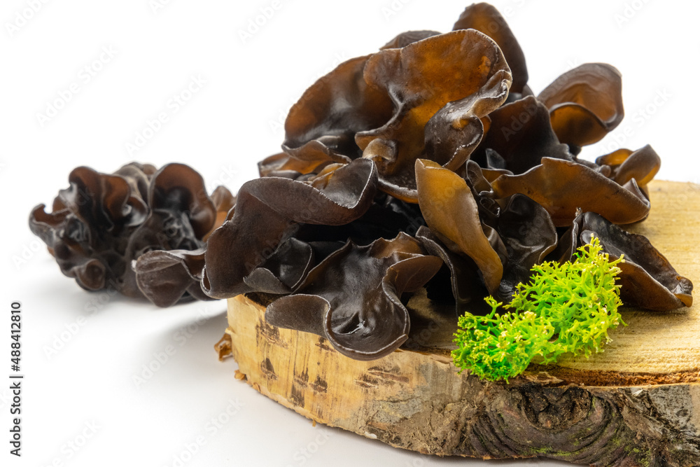 Muer Mushrooms On Wooden Cross Section Isolated On White Background. Jew`S  Ear Mushrooms Studio Shot. Edible Dark Fungus - Auricularia Polytricha,  Also Known As Cloud Ear, Black Mushroom, Jelly Fungus Photos |