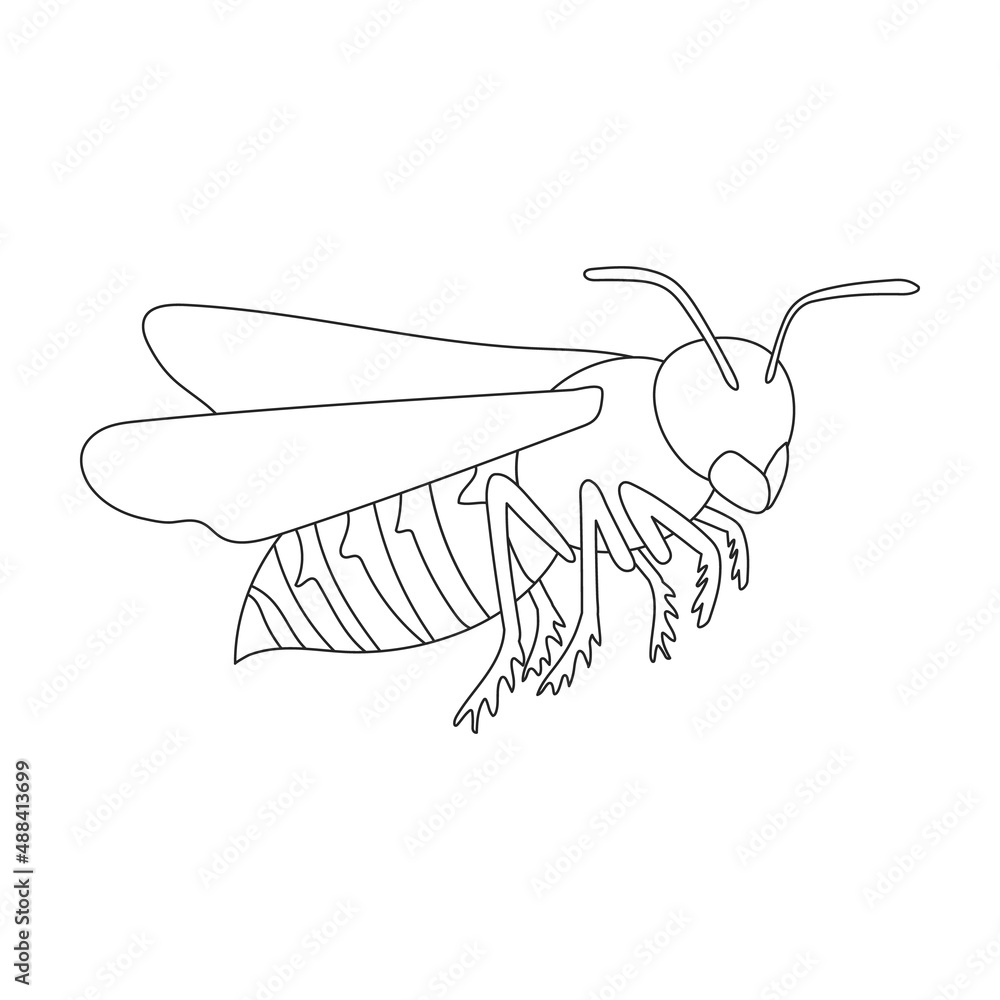 How to Draw a Hornet  Easy Picture to Draw  YouTube