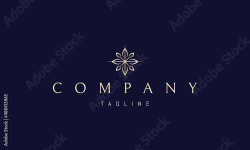 Vector golden logo on which an abstract image of a star with leaves.
