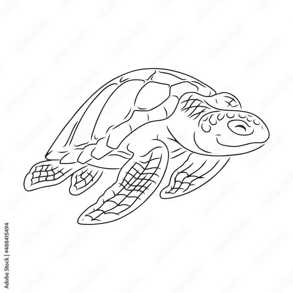 Fototapeta premium Turtle vector icon.Outline vector icon isolated on white background turtle.