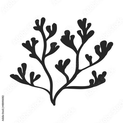 Seaweed vector icon.Black vector icon isolated on white background seaweed.