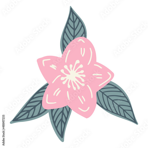 Isolated vector set of abstract colorful blossoming sakura flowers with green leaves © Asya Lapteva