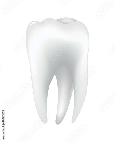 White shining human tooth. Dental medical vector icon. Stomatology clinic symbol. Teeth protection, oral or tooth care. Teeth restoration