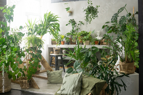 Fototapeta Naklejka Na Ścianę i Meble -  A fragment of the interior with a variety of indoor plants and plaster sculptures. Urban jungle concept. Biophilia design.