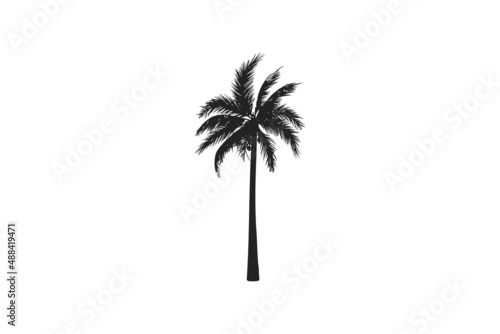 Palm, tree icon. Vector illustration. © GlopHetr