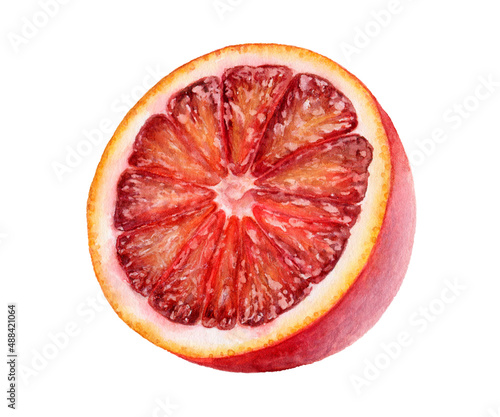 Blood orange cut watercolor illustration isolated on white background