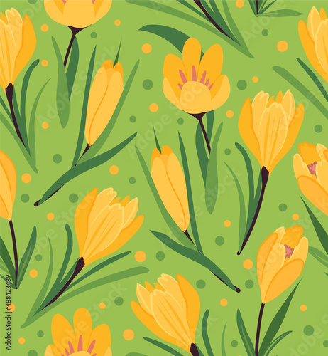 Yellow crocus seamless pattern on green background. Spring flowers vector illustration for packaging  wallpaper  cover  poster  template  and more