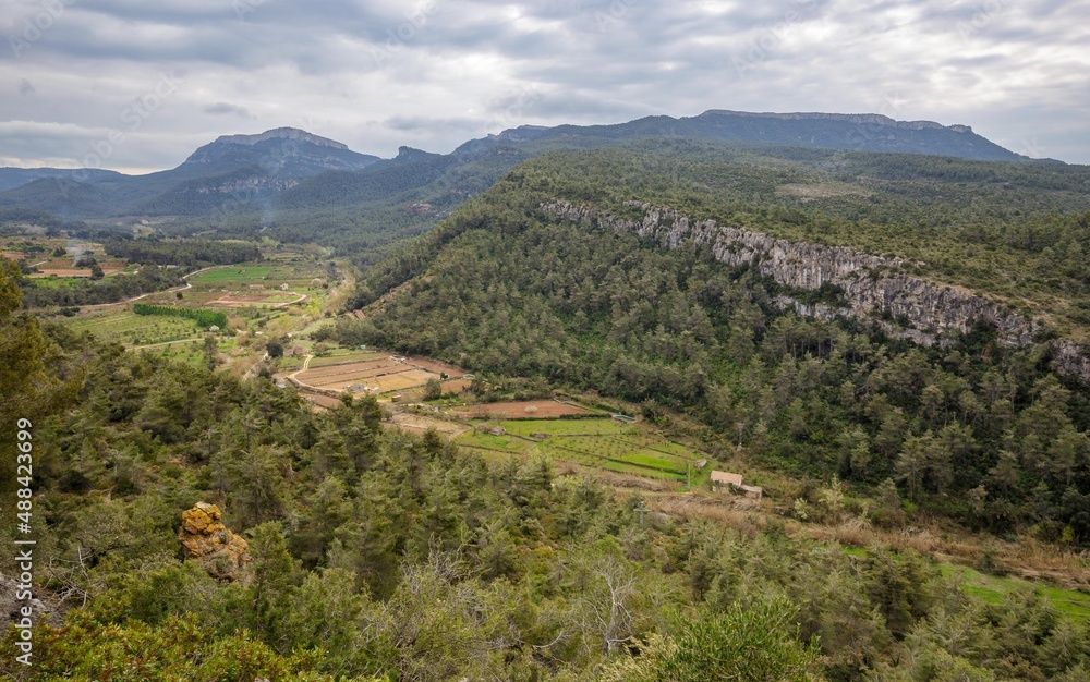 Plantation fields and mountains near Marça, Spain