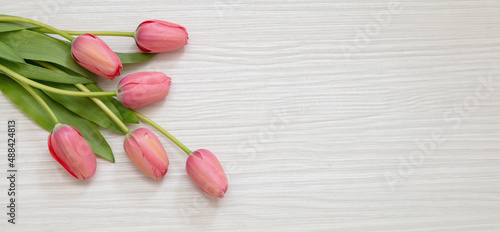 Fototapeta Naklejka Na Ścianę i Meble -  Tulip flower bunch pink color on white wood table. Woman, mother day celebration gift