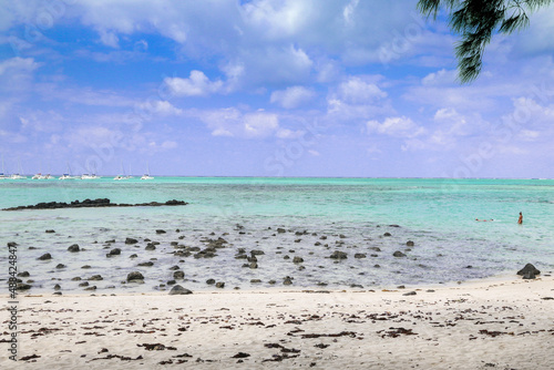 beach with palm trees