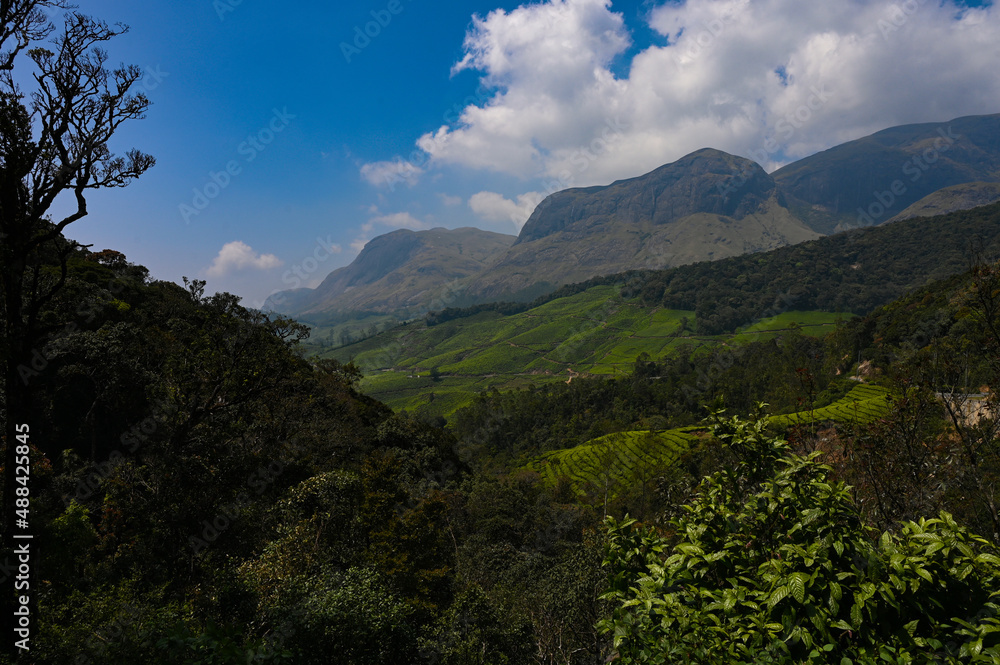 landscape with clouds from Munnar , Kerala