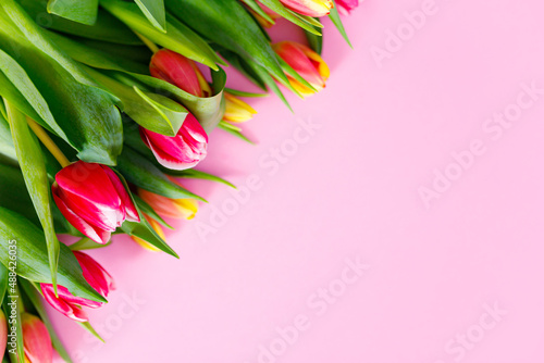 Lovely tulips bunch, floral border. Layout for springtime holidays. Mother day greeting card.