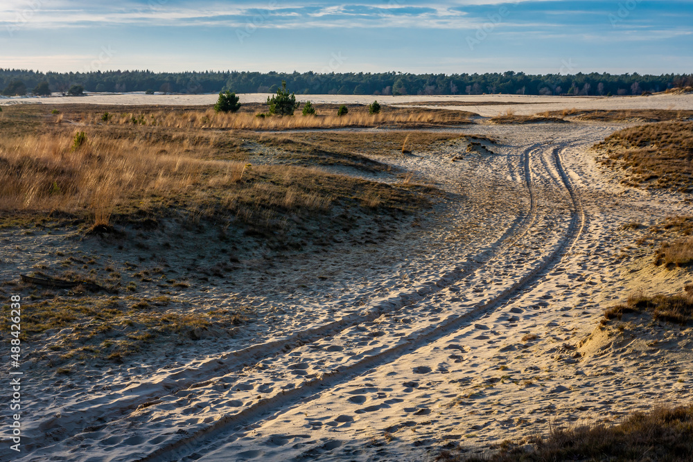 Vast landscape of dutch national park Loonse en Drunense duinen with car tire tracks in the sand