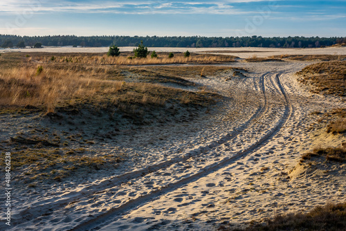 Vast landscape of dutch national park Loonse en Drunense duinen with car tire tracks in the sand photo