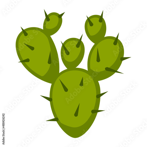 Illustration of cactus. Decorative spiky mexican cacti.