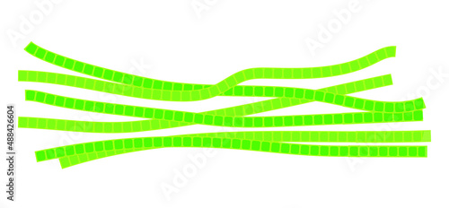 Microscopic algae spirogyra, causing turbidity of water