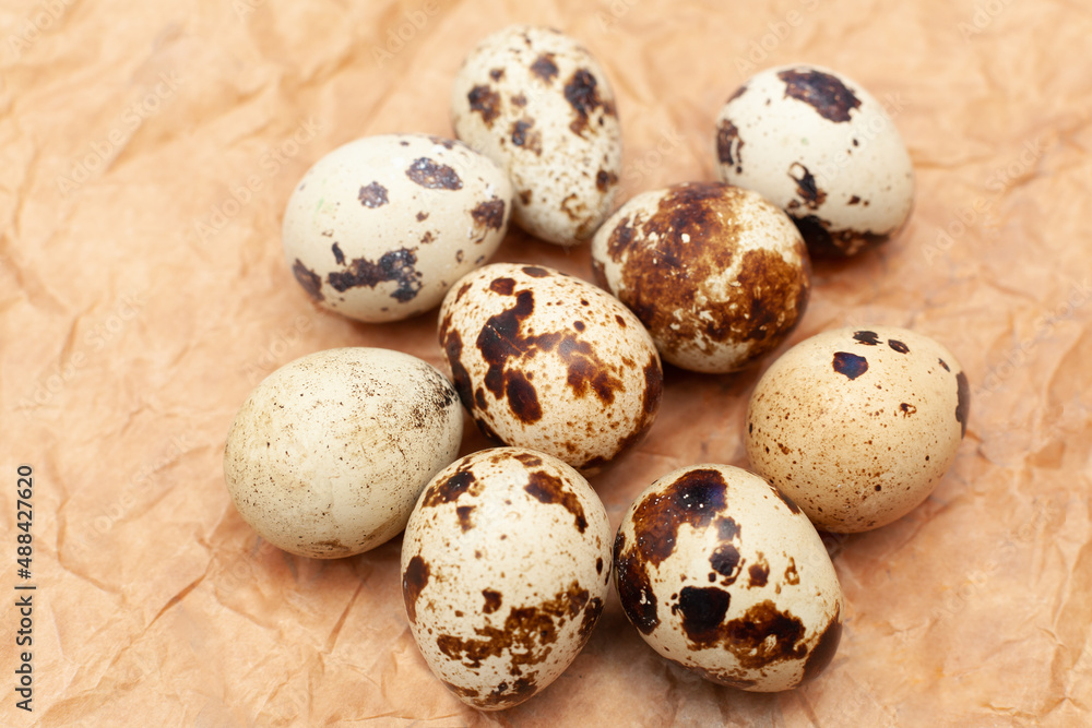 quail eggs arranged on brown paper background quail eggs arranged on brown paper background