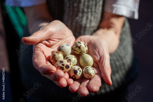 old woman holding quail eggs in palms