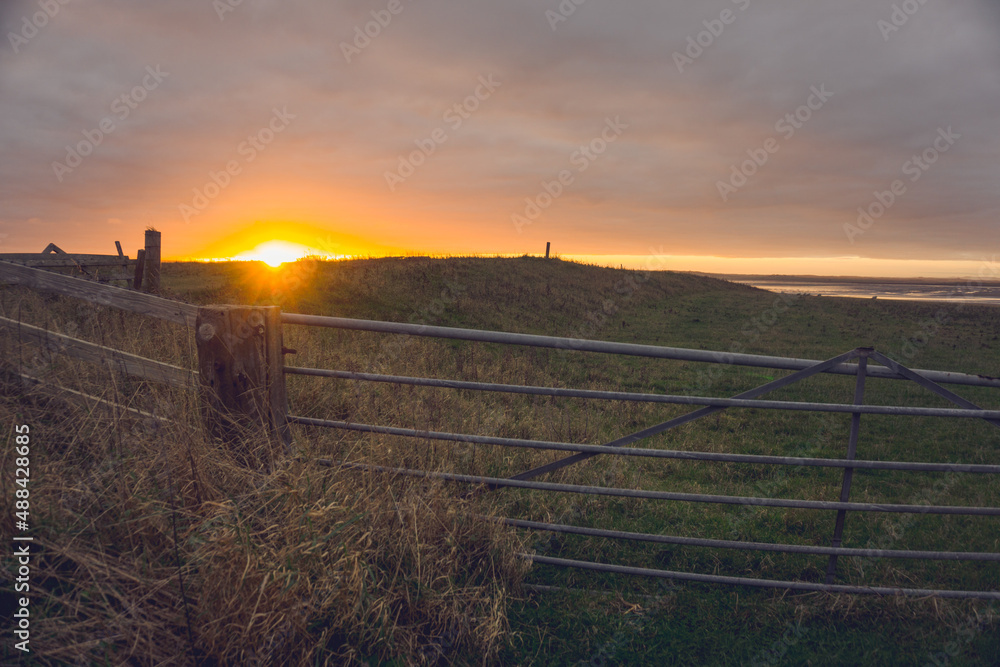 Sunset in the fields, Holy Island, England.