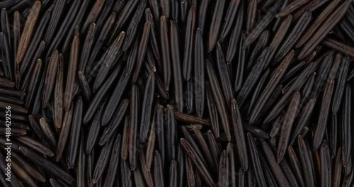 Top view of wild rice rotating. Closeup. Macro.