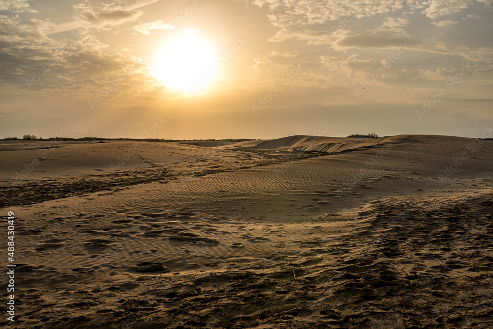 Fototapeta premium Dunes of a beach in the Ebro Delta at sunset. Desert and sand.