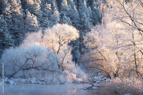 Amazing winter landscape in bright sunlight. Frost and snow on the trees branches