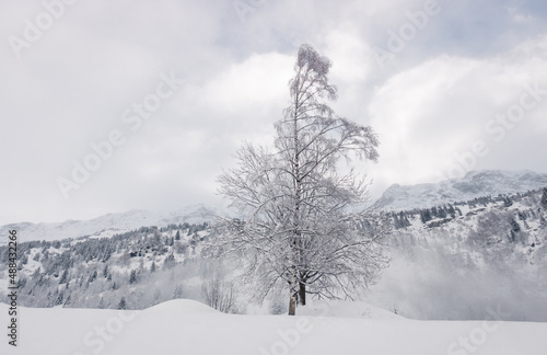 paysage enneigé en hiver après une forte tempête de neige