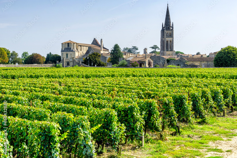 Vineyards of Saint Emilion village