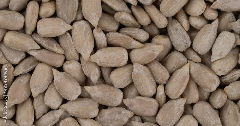 Top view of dehulled sunflower seed kernels rotating. Closeup. Macro. Top view of dehulled sunflower seed kernels rotating. Closeup. Macro.