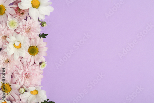 Beautiful chrysanthemum flowers on violet background, flat lay. Space for text