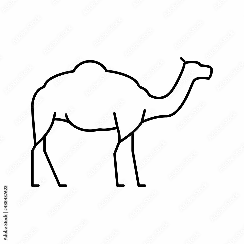camel animal line icon vector illustration camel animal line icon vector illustration