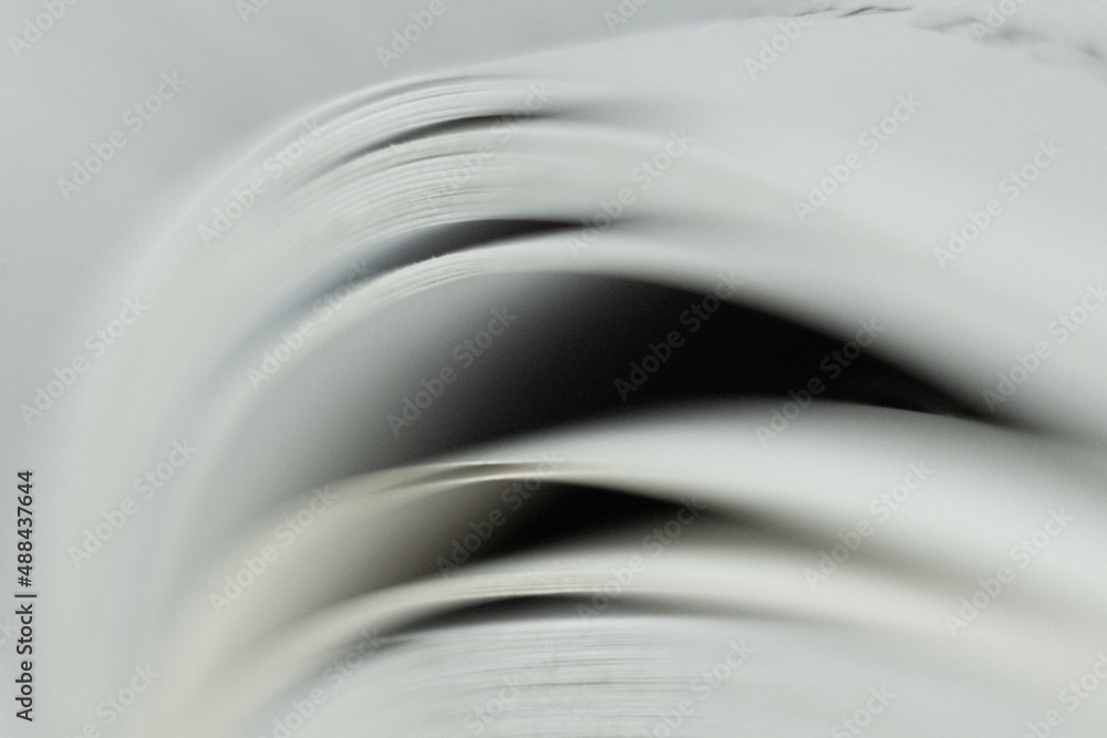 Book pages closeup. Open book macro.