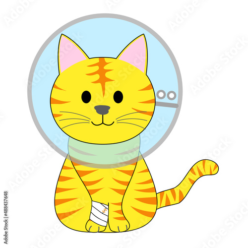 Canvas Print A tabby cat with elizabethan collar
