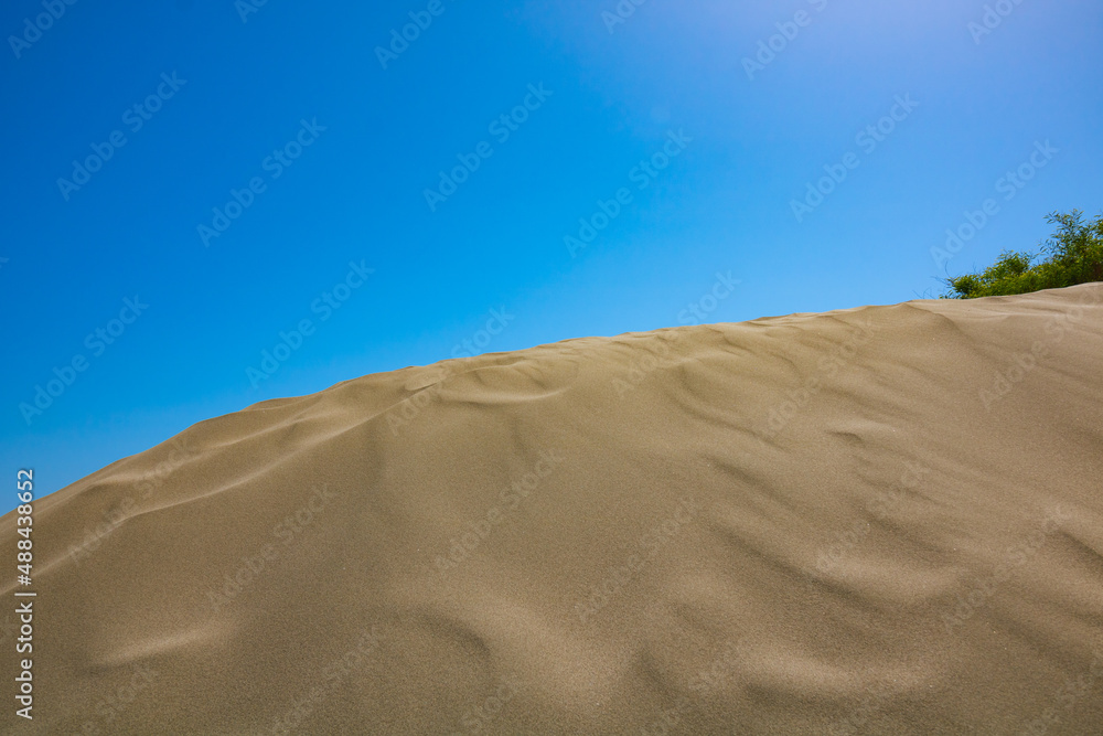 Global warming background photo. Desertification concept photo.