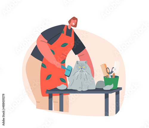 Friendly Hairdresser Female Character Provide Grooming Service, Comb Persian Cat with Long Hair in Salon for Animals