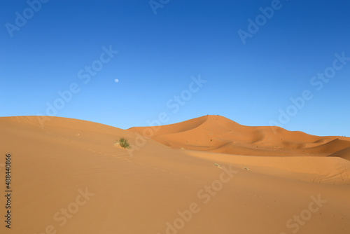 Sahara desert © Rafael Prendes