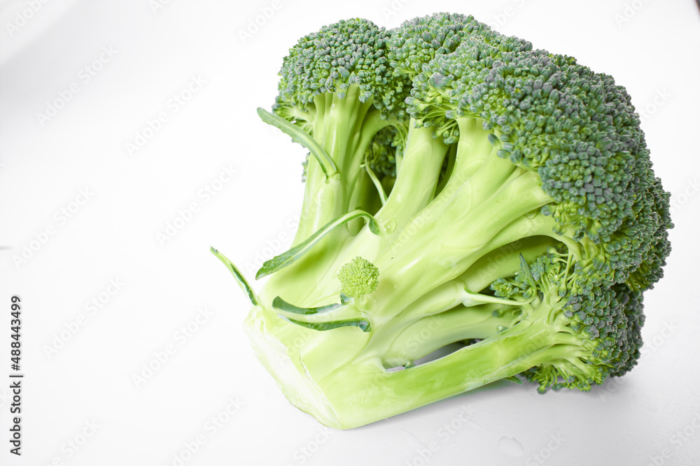 fresh broccoli on the white fresh broccoli on the white