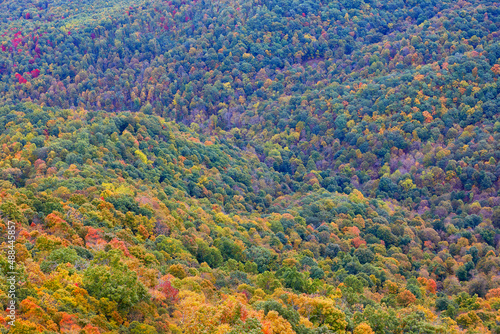 View of autumn colors from near the summit of Big House Mountain, located near Lexington, Virginia © Sean  Board