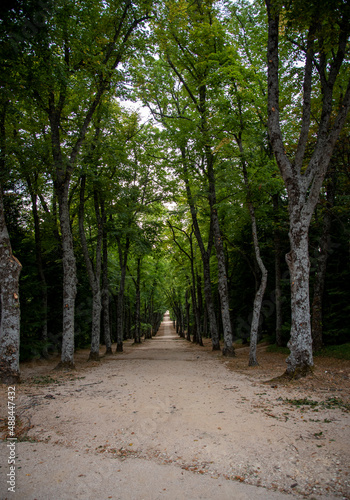 path in the park