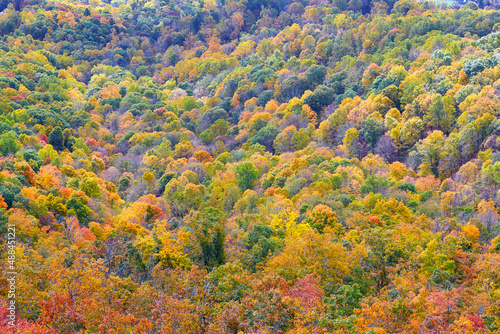 View of autumn colors from the Appalachian Trail near Pearisburg, Virginia