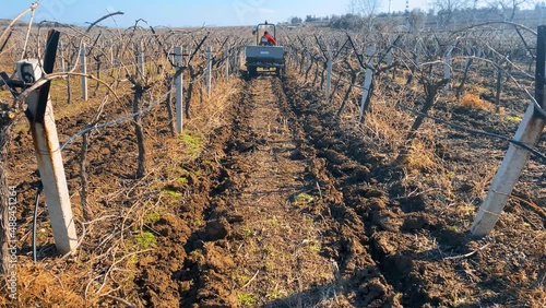 Farmer working at vineyards. Agriculture concept. Man tills the field with tractor.